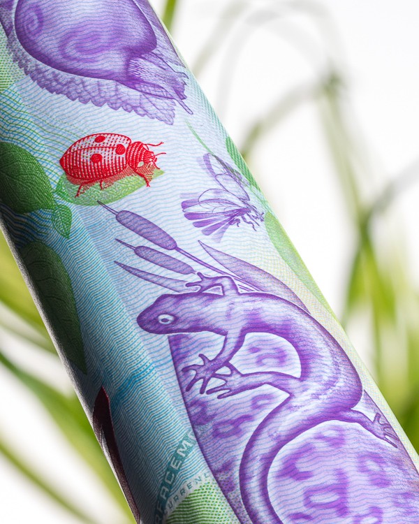 A close up of the MOTION SURFACE thread, showing the details of the snail, ladybug and salamander.